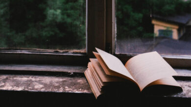 5 Great Crime Novels Bringing Multicultural Heroes and Representation to Mystery ‹ CrimeReads