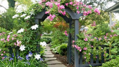 How to Start a Garden in 10 Simple Steps