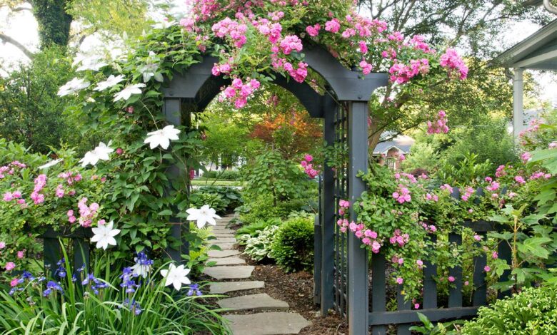 How to Start a Garden in 10 Simple Steps How to Start a Garden in 10 Simple Steps
