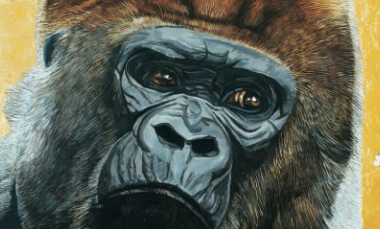 Author, literary and virtual events